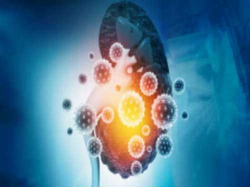 7 نصائح للرعاية الذاتية لأمراض الكلى