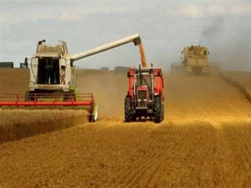 أوكرانيا: محصول الحبوب سيقل 20%