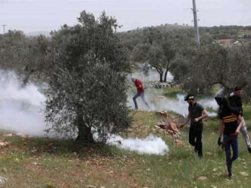 تواصل انتهاكات الاحتلال: إصابات واعتقالات واعتداء