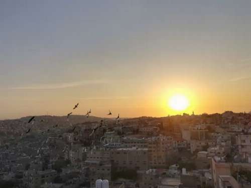 أجواء معتدلة إلى دافئة يومي الأحد