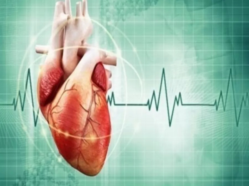 علاج اضطراب دقات القلب من دون