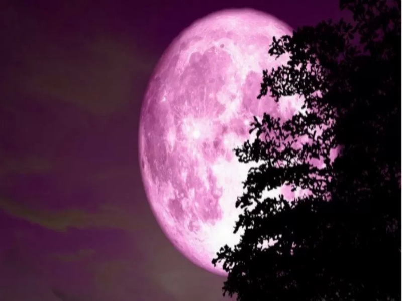القمر الوردي يزين سماء الوطن العربي