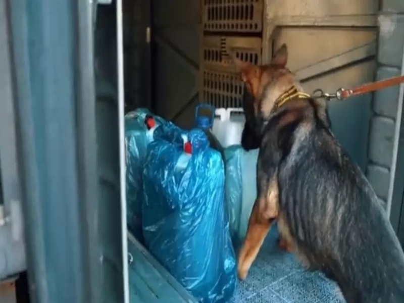 في أمتعة معتمرين قادمة من الاردن..