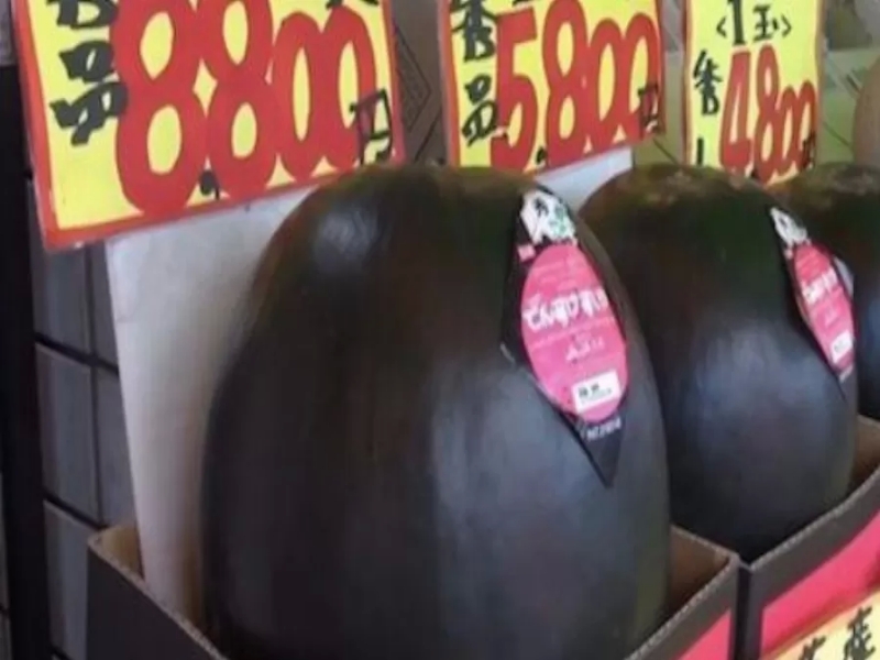 الأغلى في العالم.. هل سمعت بـ