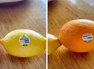 يشارك المعنى الخفي وراء ملصقات الفاكهة