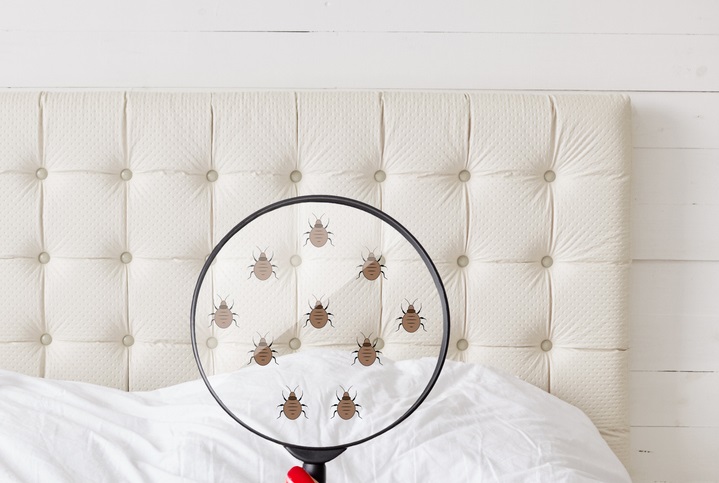 إليك 10 نصائح بشأن الفنادق