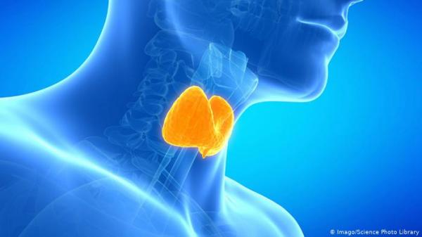 مرض مناعي يهاجم الغدة الدرقية.. وأعراض