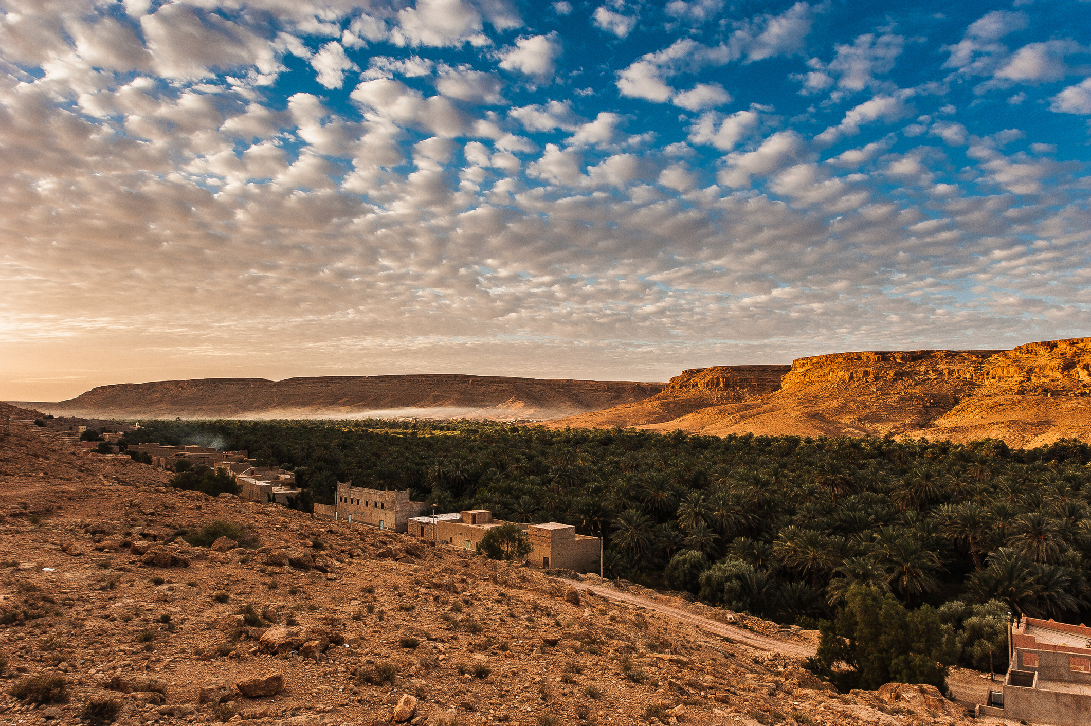 مركز للثقافة الأمازيغية.. دليلك الشامل لزيارة