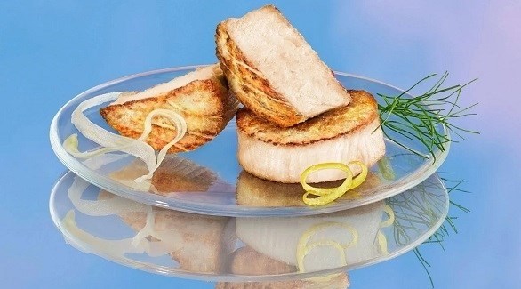 لحوم هوائية مصنوعة من ثاني أكسيد