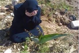 دعاء الغائب.. . رؤية شرعية