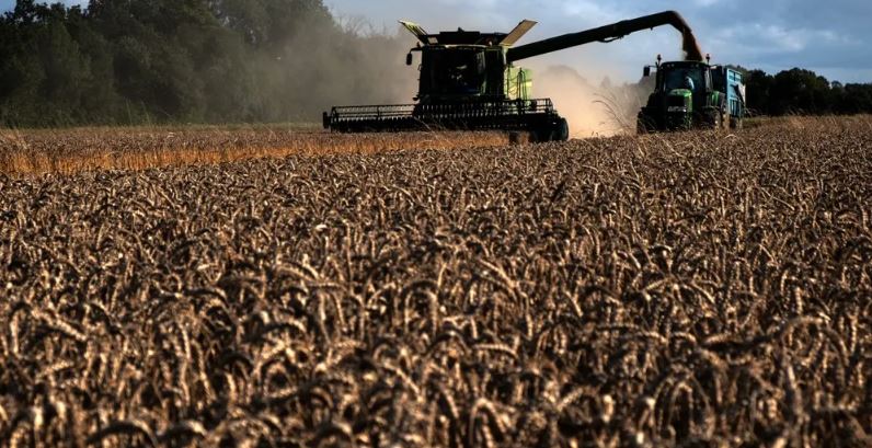 حرب أوكرانيا ترفع أسعار الحبوب والزيت