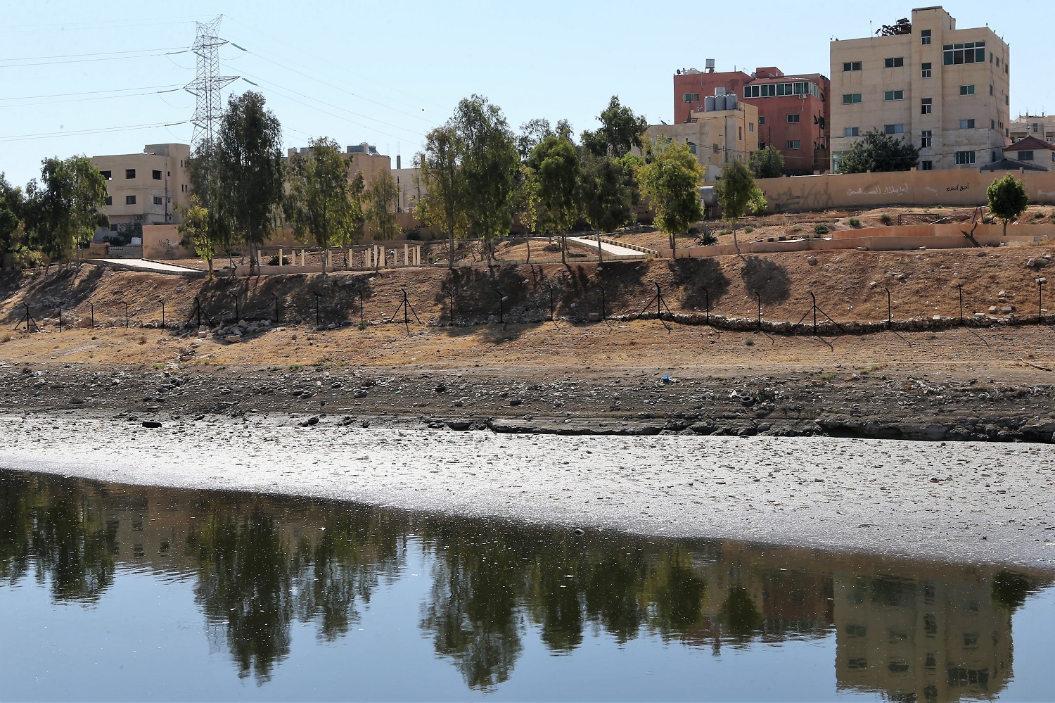 البيئة: مشروع إعادة تأهيل بركة البيبسي