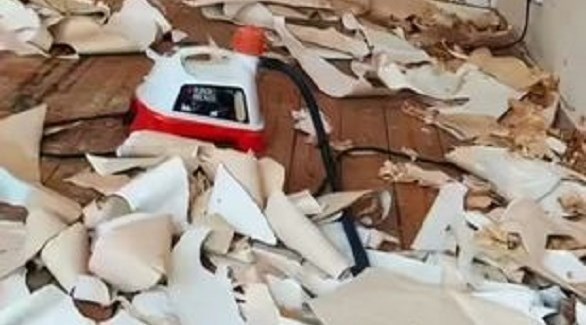 تعيد تأهيل منزلها الجديد خلال أسبوع