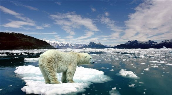 خبراء يكشفون سبب موجات الحرّ التي