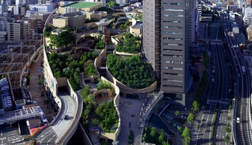 ما الذي يمكن أن يتعلمه العالم