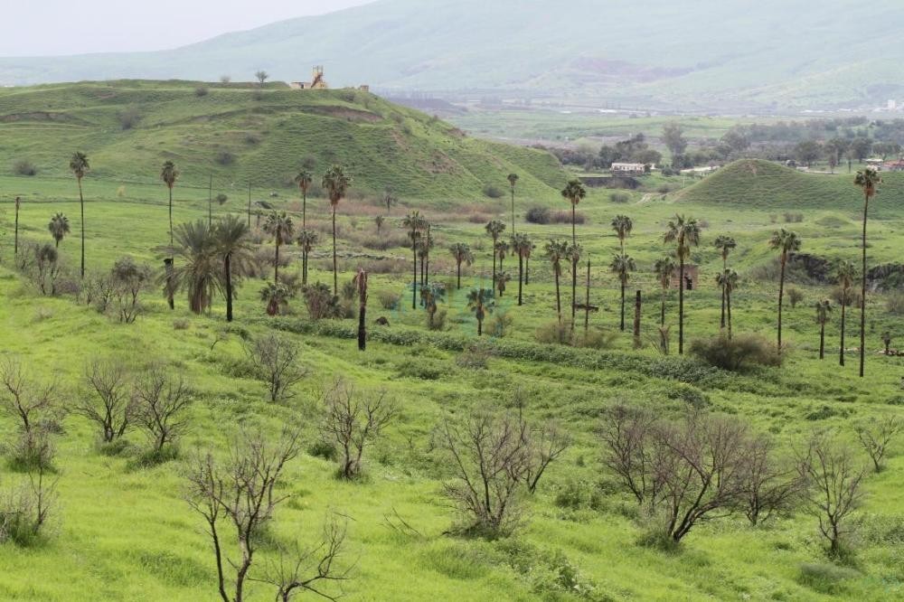 الباقورة تسجل أعلى درجة حرارة اليوم