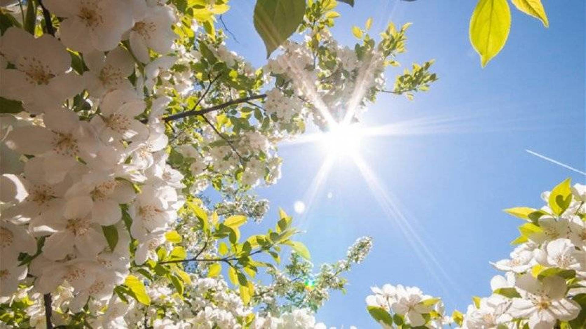 طقس الاربعاء: ربيعي ودرجات الحرارة الى