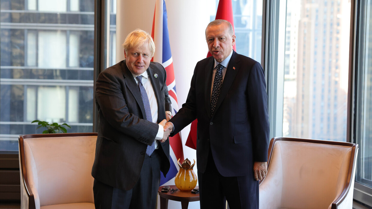 جونسون وأردوغان يتفقان على العمل من