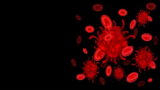 الأحتلال يسجل أول إصابة بجدري القردة