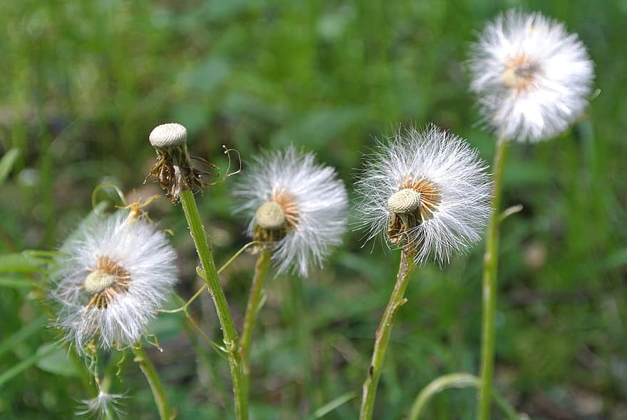 الطقس: انخفاض ربيعي على درجات الحرارة