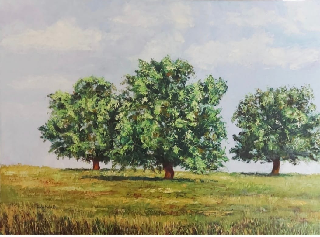 معرض الفنانة فايدة ماتوخ في جاليري