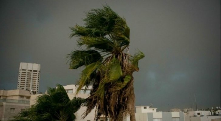 الأرصاد: هبّات رياح قد تتجاوز سرعتها