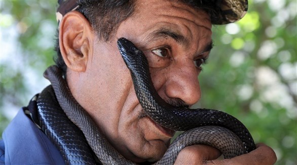 رويترز: هذا الاردني يحب الافاعي