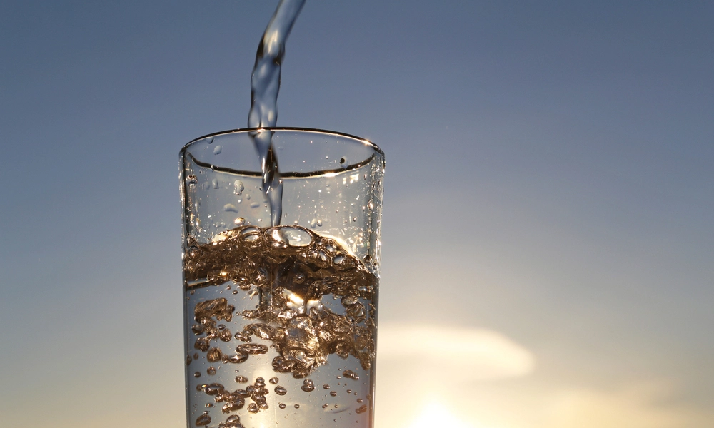 تستسلم الكليتان ويتقلص الدم ثم يتوقف