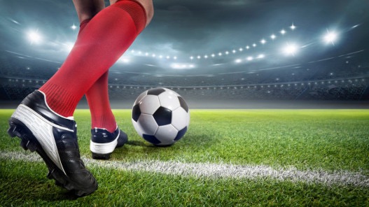 المدرب الفرنسي دا روزا مديرا فنيا