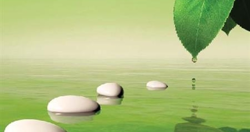 السكينة المفقودة في حياتنا