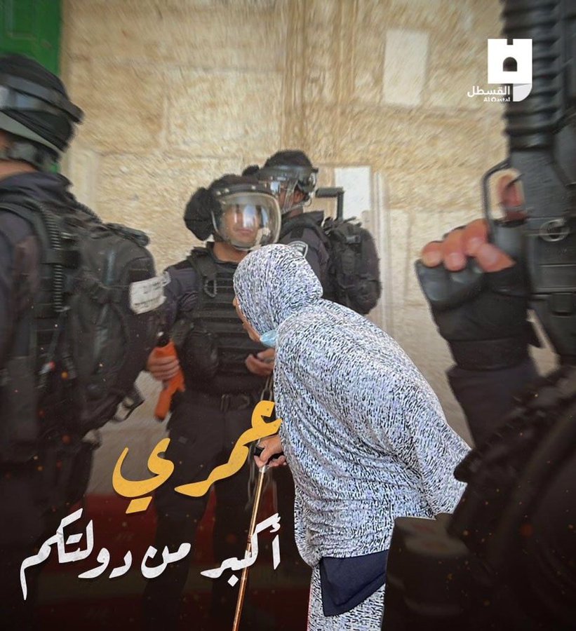 “عمري أكبر من دولتكم”.. فيديو لمسنة