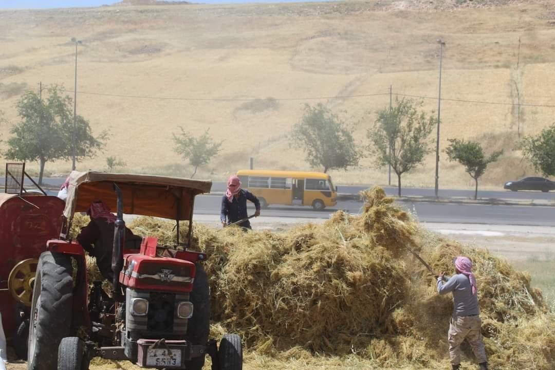 ربما نجت هذه النمرة من صفقة