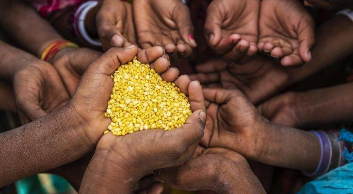 العالم يتجه نحو كارثة غذاء