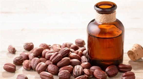 مزايا زيت الجوجوبا على الشعر والبشرة
