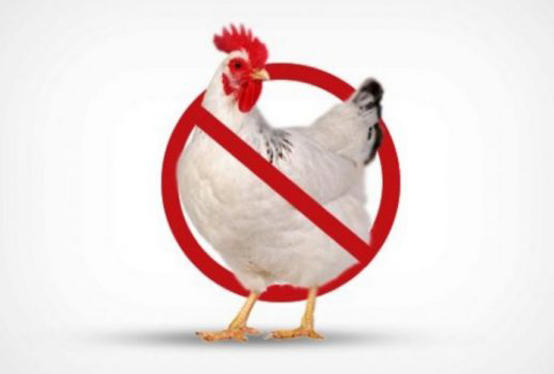 اتحاد المزراعين: المقاطعة سترفع اسعار الدجاج