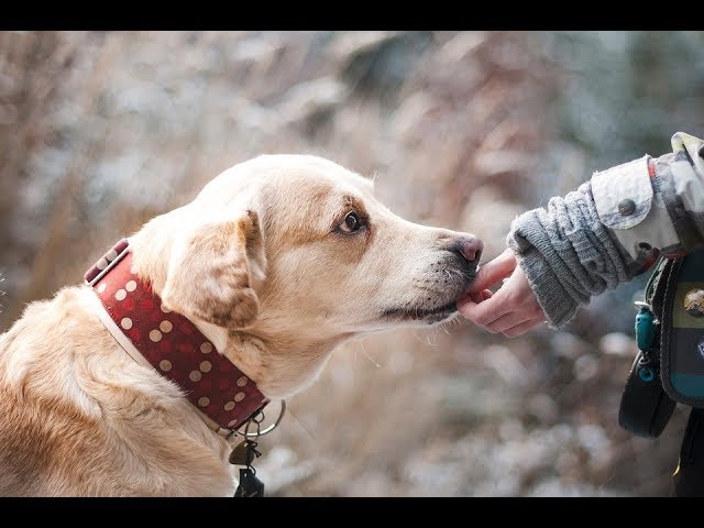 تحذيرات من زيادة وتيرة انتقال الأمراض