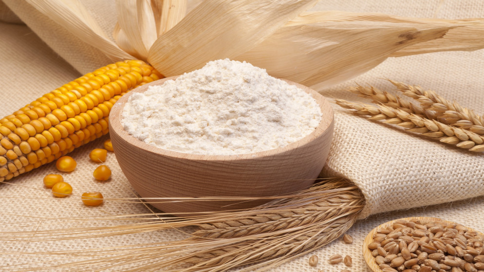 وزير الصناعة: توافق أردني مصري إماراتي