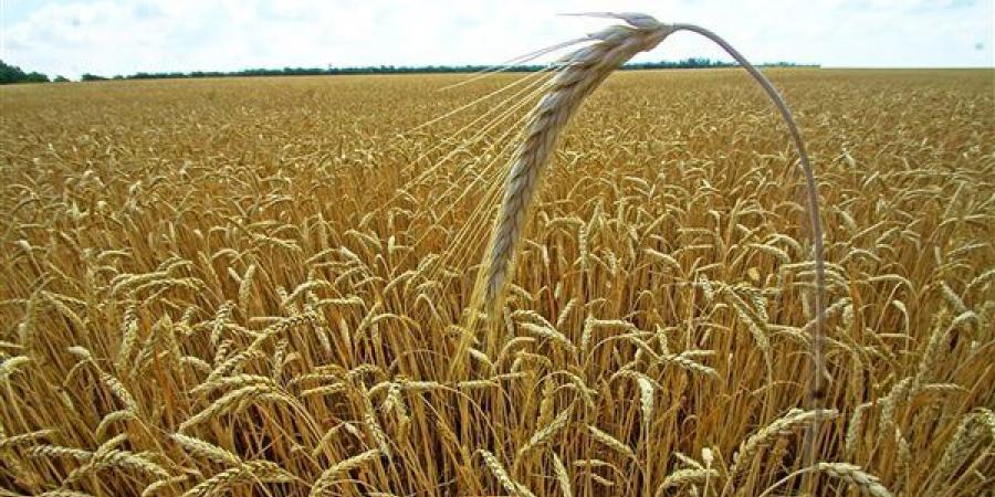 خبير يتحدث عن تأثر الأردن بأزمة