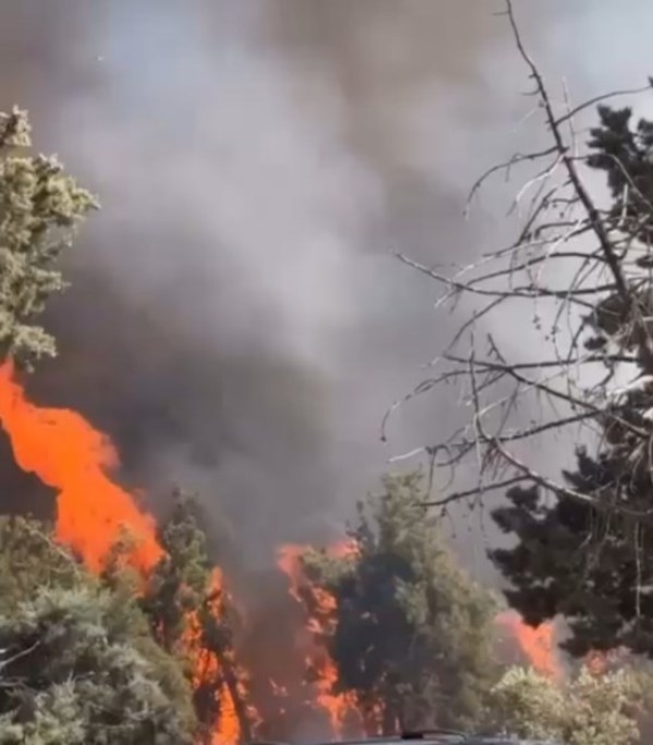 تعرفوا على المتسبب بحريق الكمالية وهروب