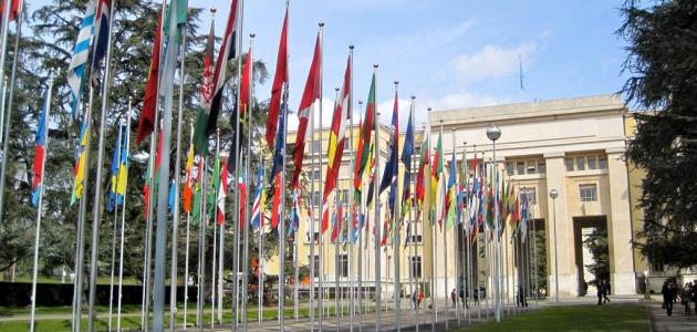 حارسة حقوق الانسان الأممية تغازل مرتكبي