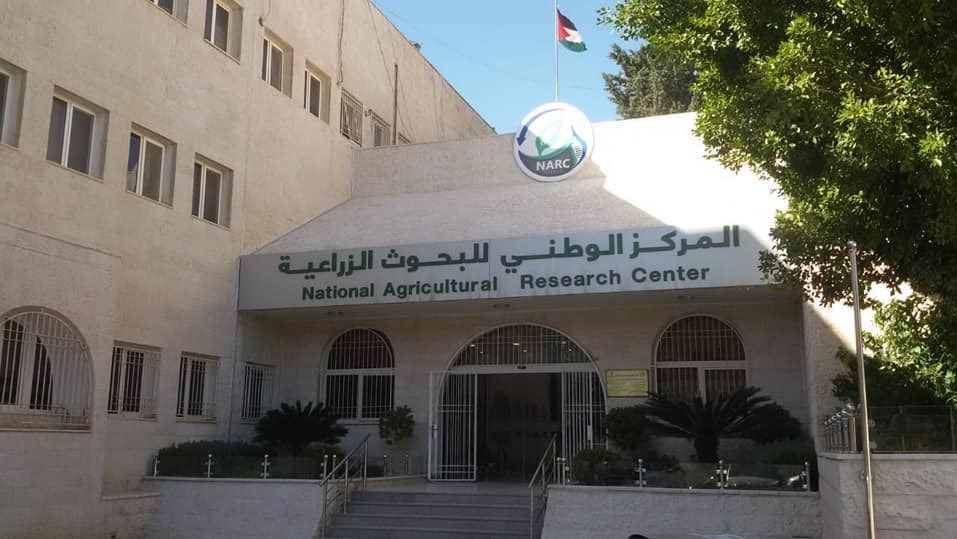 وظائف شاغرة في المركز الوطني للبحوث