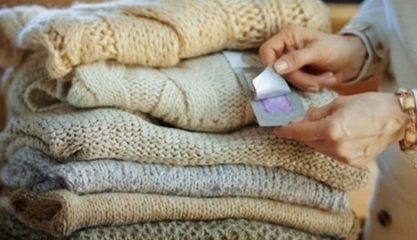 عث الملابس كابوس اليس كذلك؟