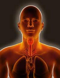 ما علاقة نوبة الهلع بتأسيس شركة