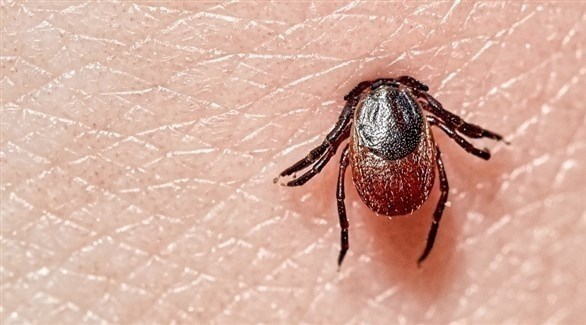 واحد من كل 7 بشر أصيب