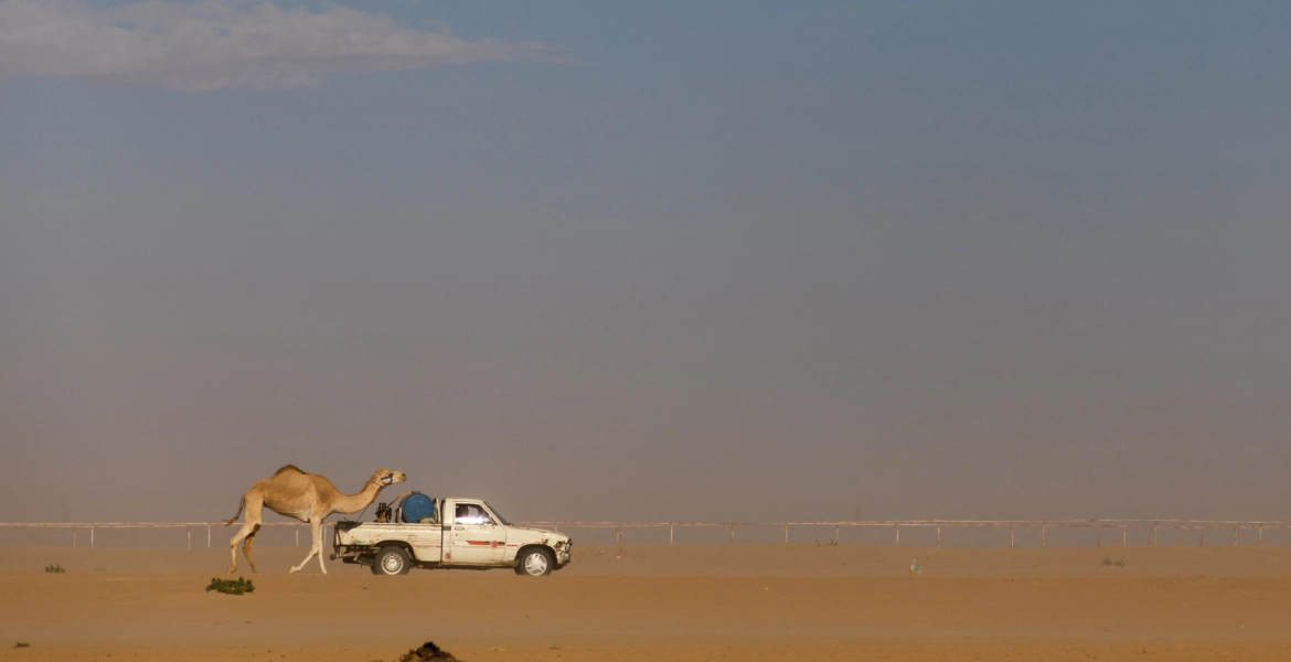 أب وطفله.. تقطعت بهما السبل وغلبهما