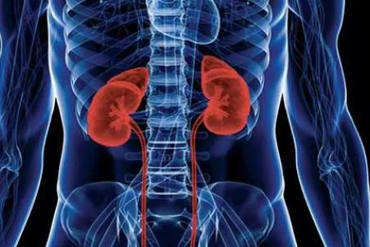 ماذا يعني سوء التغذية العظمي الكلوي؟