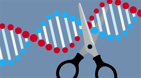 تمديد تجارب العلاج الجيني للثلاسيميا لتشمل