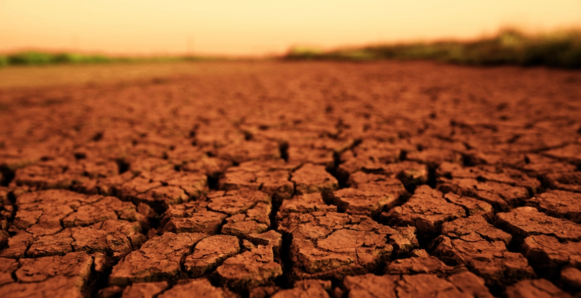 القمامة البشرية وصلت المريخ حقا