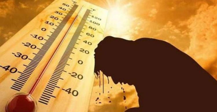 هل تعتقد أنك ستذوب من الحر..