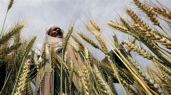 حال السودان.. بحث مضن عن الخبز